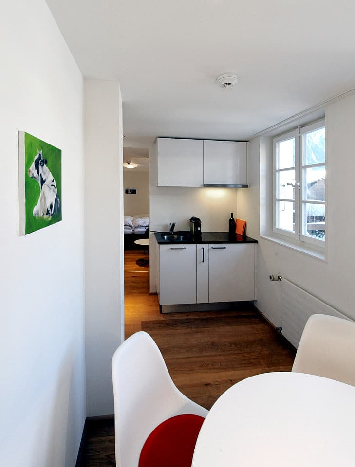 Regular 1-Bedroom Apartment - 4