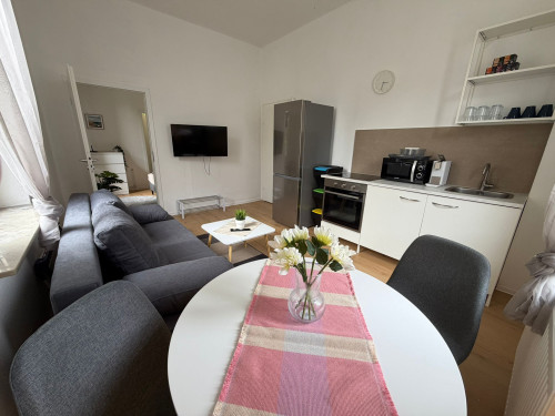 Newly furnished apartment in Alzey