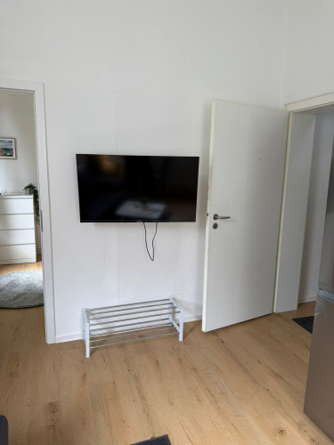 Newly furnished apartment in Alzey