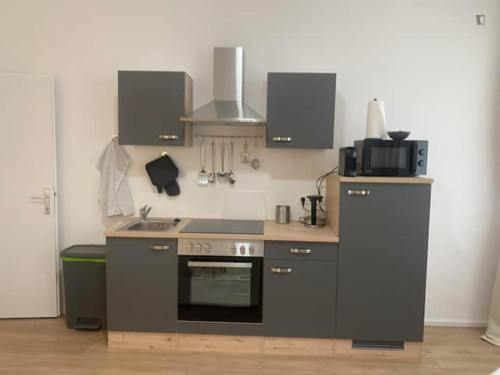 Inviting 1-bedroom flat near the Thaliastraße subway station - Gallery - 6