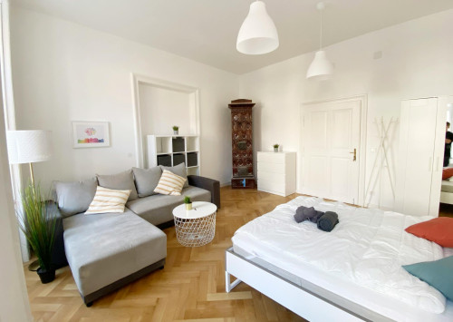 Große Neugasse, Vienna