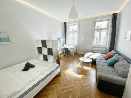 Neustiftgasse, Vienna