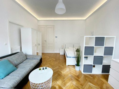 Neustiftgasse, Vienna - Gallery - 5