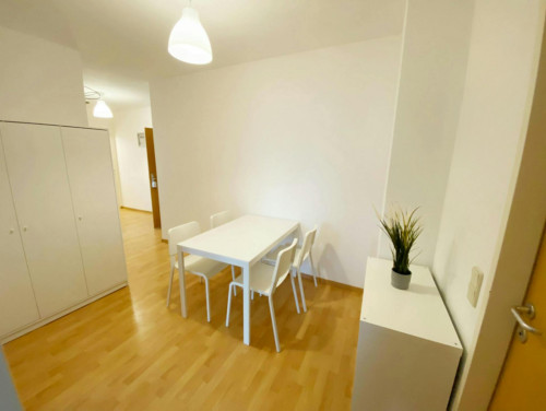 Sonnleithnergasse, Vienna - Gallery - 9