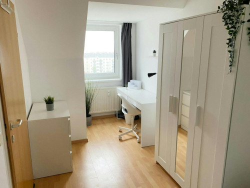 Sonnleithnergasse, Vienna - Gallery - 5