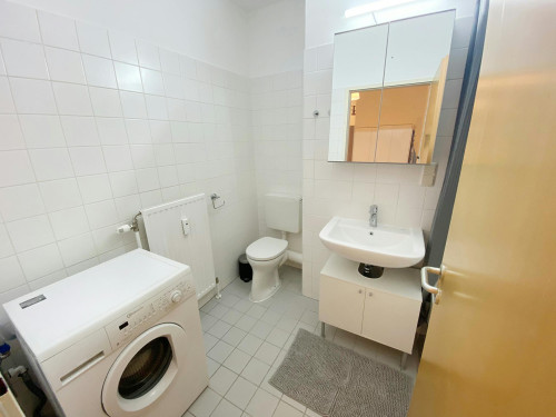 Sonnleithnergasse, Vienna - Gallery - 8