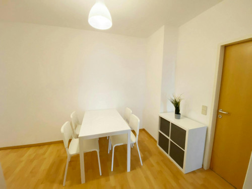 Sonnleithnergasse, Vienna - Gallery - 10