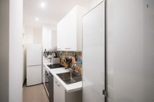 Cozy 1-bedroom flat next to the Milan Business School (UIBS) - Gallery - 6