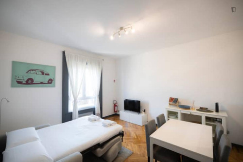 Cozy 1-bedroom flat next to the Milan Business School (UIBS) - Gallery - 10