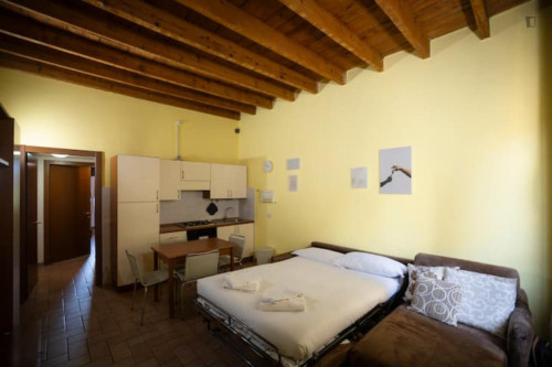 Appealing 1-bedroom flat in Navigli