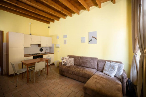 Appealing 1-bedroom flat in Navigli