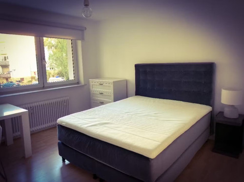 Spacious room near Nordend West