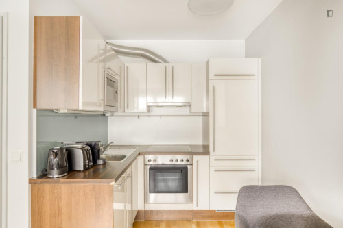 Comfy 1-bedroom flat near the Medical University of Vienna - Gallery - 9