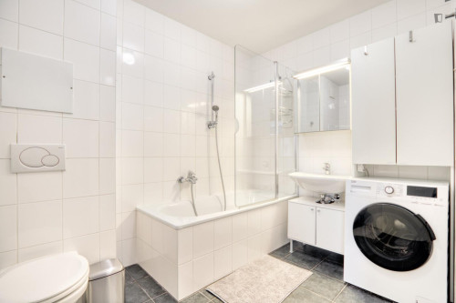 Comfy 1-bedroom flat near the Medical University of Vienna - Gallery - 12