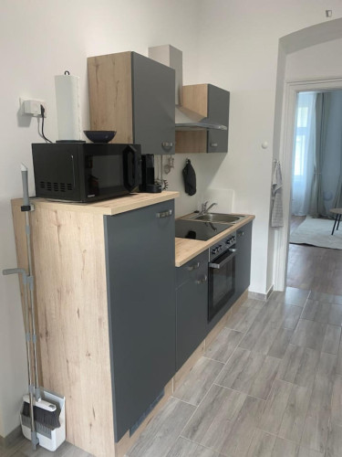 Lovely 1-bedroom flat near the Thaliastraße subway station - Gallery - 8