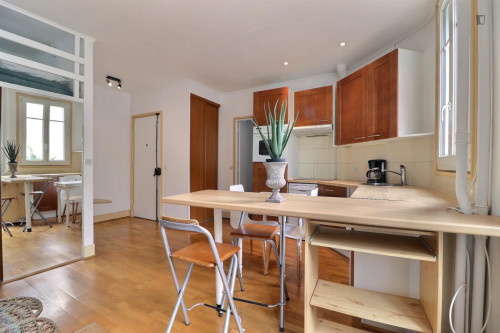 Charming studio in Boulogne-Billancourt - Gallery - 11