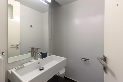 Inviting 3-bedroom flat near the Alba Graduate Business School - Gallery - 9