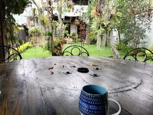 Casa - Gallery - 9