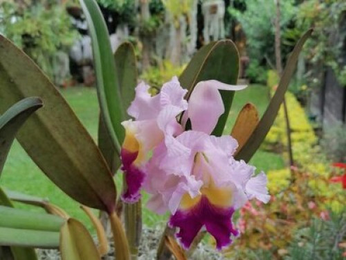 Casa - Gallery - 8