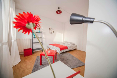 Comfortable and luminous room - 16m² - ST11