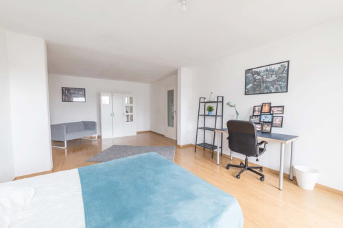 Spacious luminous room - 23m² - ST61