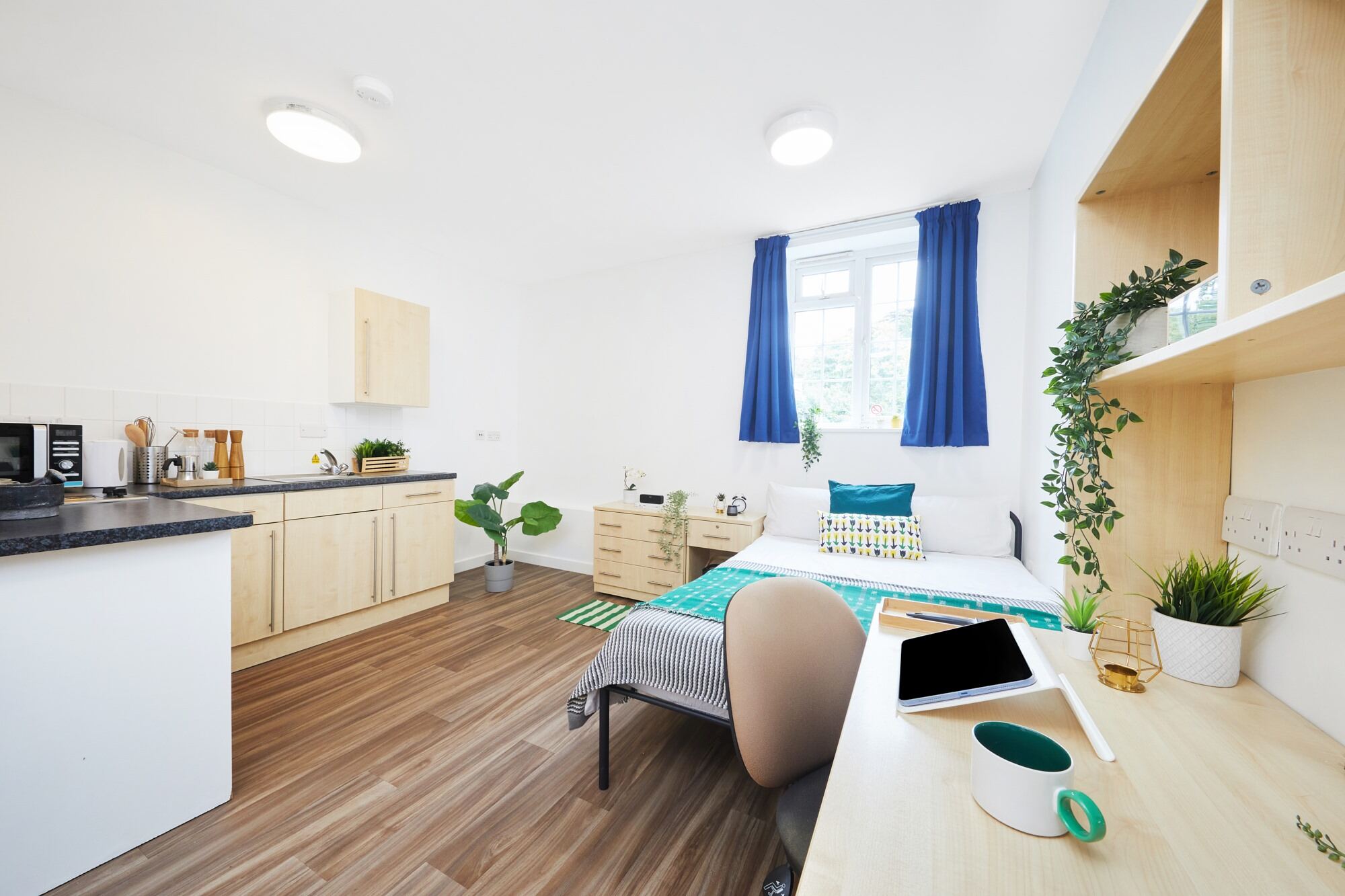 Standard Studio - Collegiate Bonhay House - Gallery - 3