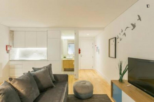 Blackbird Calling - Charming 1-bedroom apartment near Aliados metro station