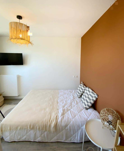 Chambre 3 - BRISOUT DE BARNEVILLE M