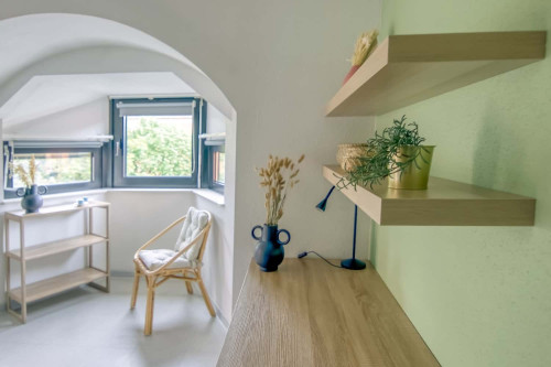 Large 19 m² co-living room in Strasbourg - ST100