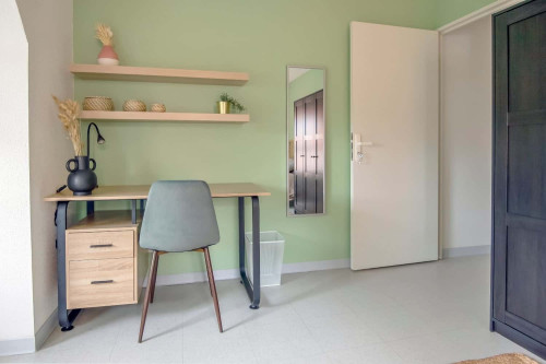 Large 19 m² co-living room in Strasbourg - ST100
