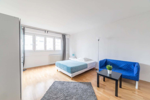 Spacious and luminous room 22m²