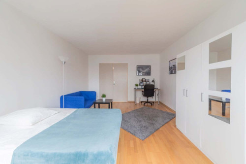 Spacious and luminous room 22m²