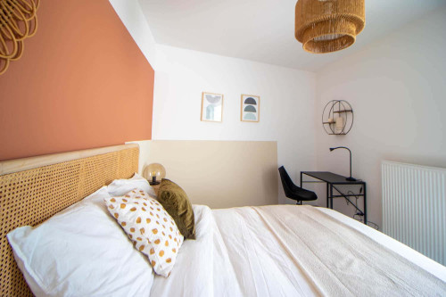 Charming room of 12 m² to rent in Villeurbanne