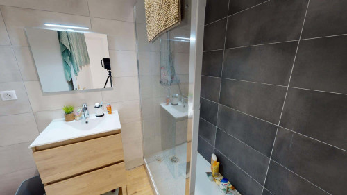 Room in Rue Gérard Philipe, Grenoble for 114 m² with 6 bedrooms - Gallery - 9