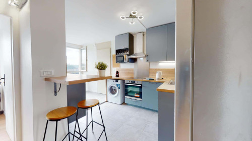 Room in Rue de Saint Cyr, Lyon for 87 m² with 6 bedrooms - Gallery - 14