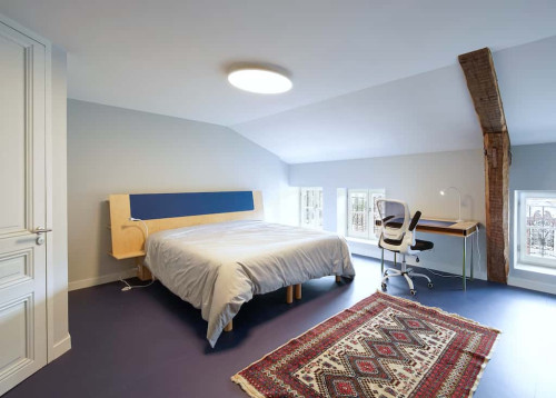 Room in Rue Bourgneuf, Saint-Étienne for 600 m² with 8 bedrooms