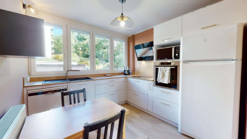 Room in Chemin de la Pomme, Tassin-la-Demi-Lune for 111 m² with 4 bedrooms - Gallery - 15