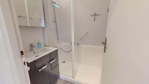 Room in Rue Joliot Curie, Lyon for 110 m² with 5 bedrooms - Gallery - 14