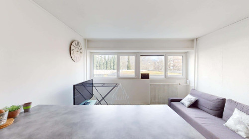 Room in Avenue Malherbe, Grenoble for 88 m² with 5 bedrooms