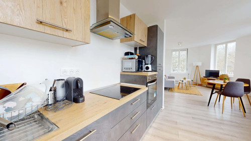 Room in Rue de la Halle, Roubaix for 71 m² with 3 bedrooms - Gallery - 13