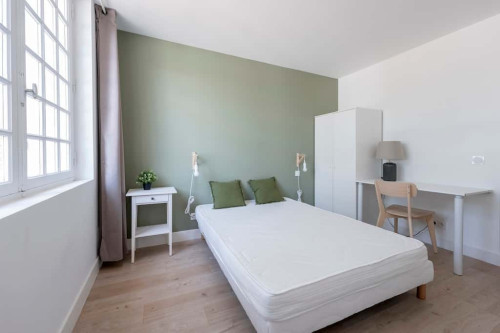 Room in Rue Calixte Camelle, Talence for 178 m² with 10 bedrooms