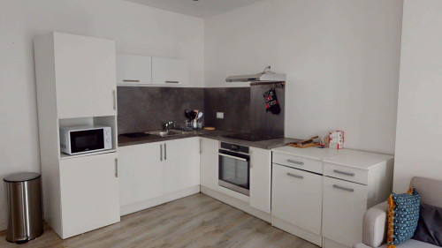 Room in Rue Pierre et Marie Curie, Saint-Étienne for 86 m² with 3 bedrooms - Gallery - 5