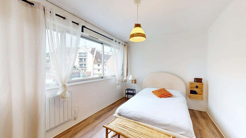 Apartment in Rue des 3 Rois, Mulhouse for 46 m² with 1 bedroom - Gallery - 8