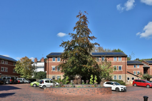 Beech Gardens - Gallery - 7