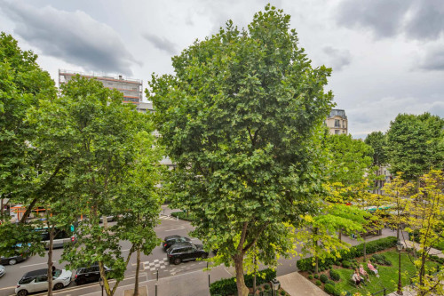 Avenue Sainte-Foy - Gallery - 3