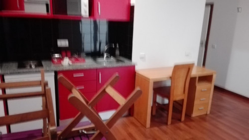 Studio near Jardim da Sereia