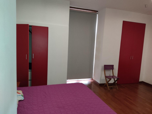 Studio near Jardim da Sereia