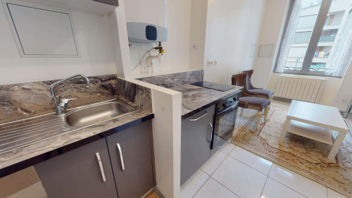 Apartment in Rue du Grand-Gonnet, Saint-Étienne for 30 m² - Gallery - 5