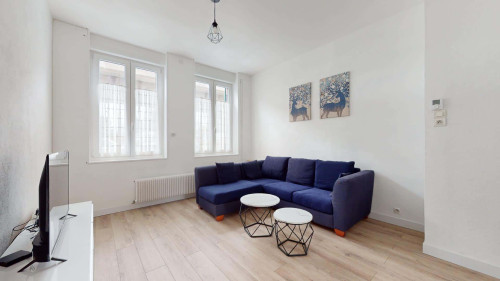 Room in Boulevard de Strasbourg, Lille for 105 m² with 4 bedrooms