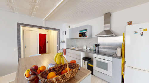 Room in Rue de la Porte Gellée, Nantes for 66 m² with 3 bedrooms - Gallery - 18
